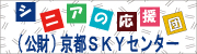 skycenterbanner