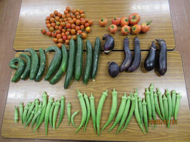 野菜